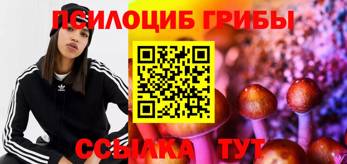 Галлюциногенные грибы Psilocybine cubensis Выборг