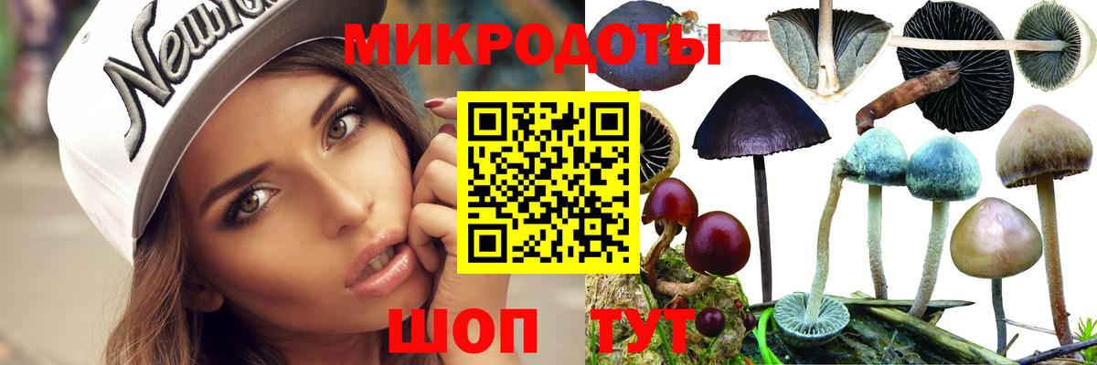 Галлюциногенные грибы MAGIC MUSHROOMS  Вход с VPN  Выборг 